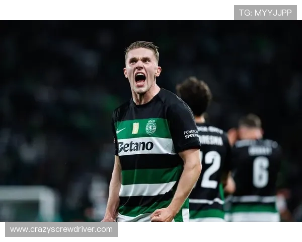 阿森纳这笔引援无疑是夏季转会窗口最具性价比的操作之一 阿森纳这笔引援无疑是夏季转会窗口最具性价比的操作之一